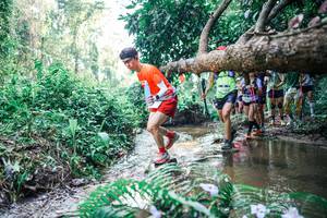 BIB: 
                            <button type="button" onclick="openModal(25462416)" class="btn btn-primary btn-sm float-right btn-popup" data-toggle="modal" data-target=".modal-high-quality">
                        <i class="fas fa-shopping-cart"></i> Add to Cart
                    </button>
                                            <button type="button" onclick="isThisMe(25462416, true)" class="btn btn-success btn-sm float-right btn-popup btn-isme hidden" data-toggle="tooltip" data-placement="bottom" title="นี่คือรูปของคุณใช่ไหม คลิกที่นี่เพื่อเอาเข้าอัลบั้ม">
                        <i class="fas fa-plus"></i> Add to album
                    </button>
                    <button type="button" onclick="isThisMe(25462416, false)" class="btn btn-warning btn-sm float-right btn-popup btn-isnotme hidden">
                        <i class="fas fa-ban"></i> Remove from album
                    </button>